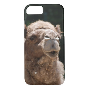 Cute Camel iPhone 8/7 Case