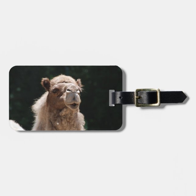 Cute Camel Luggage Tag (Front Horizontal)