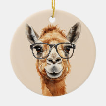 Cute camel with glasses