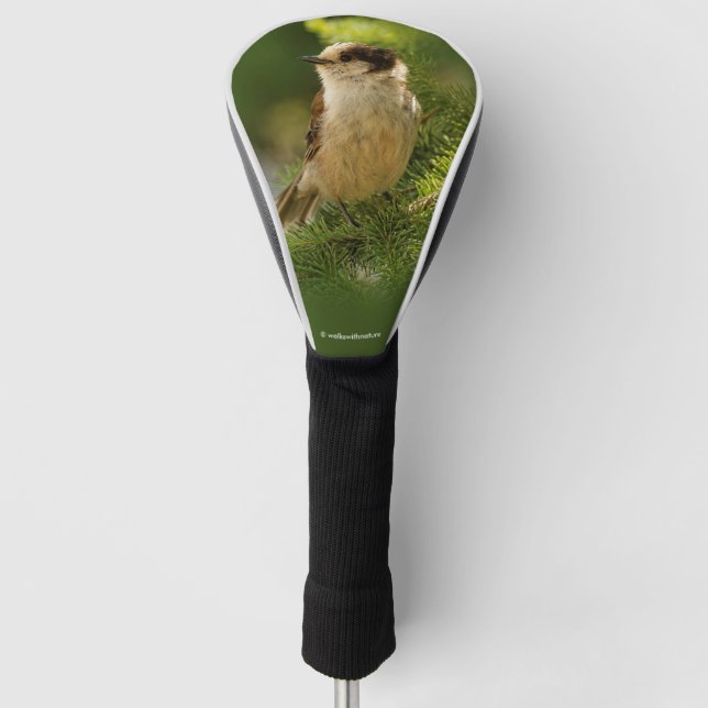 Cute Canada Grey / Grey Jay / Whiskeyjack Golf Head Cover (Front)