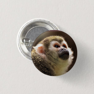 Cute Capuchin Monkey Face 1 Inch Round Button