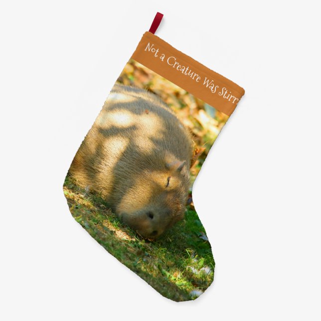 Cute Capybara Dreams in the Summer Sun Large Christmas Stocking (Front (Hanging))