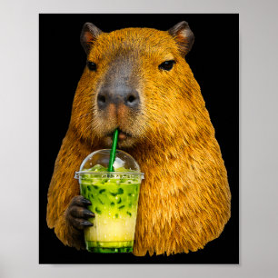 Cute capybara iced matcha latte lover meme poster