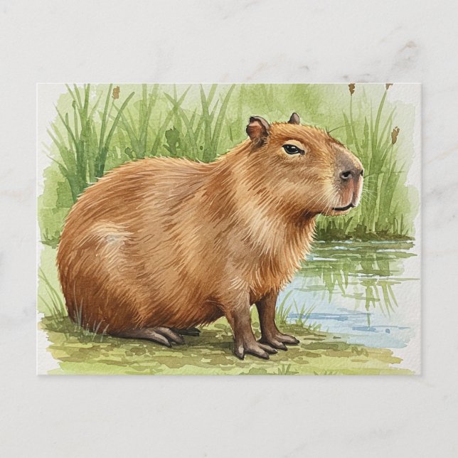 Cute Capybara Postcard (Front)