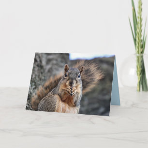 Cute Card