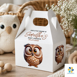  Cute Caricature Owl Baby Boy Shower Favor Box