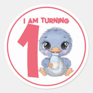 Cute Cartoon Baby Emu Birthday Classic Round Sticker