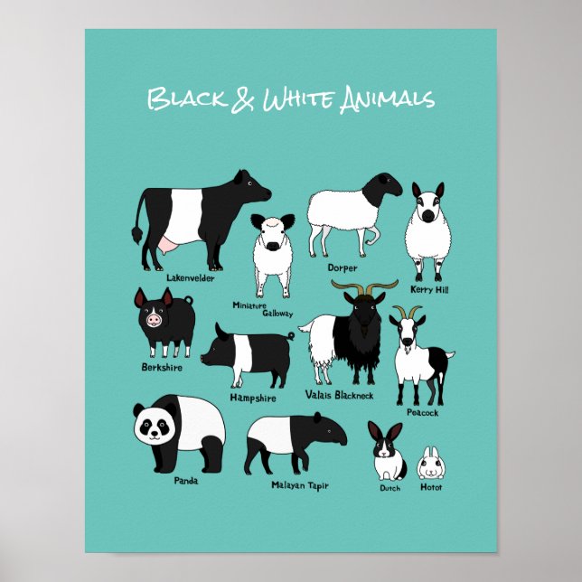 Cute Cartoon Black & white Animals poster (Front)