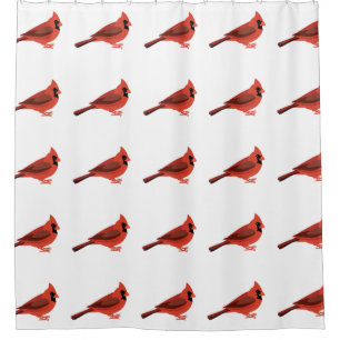 Cute Cartoon Cardinal