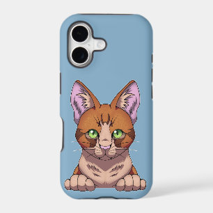 Cute Cat