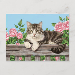 cute cat art kitten funny animal cats holiday postcard