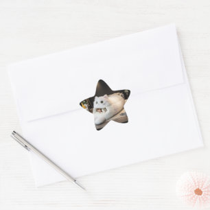 Cute cat bed – Personalized Star Sticker