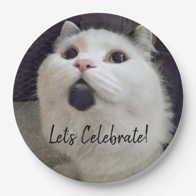 Cute Cat Birthday Party Custom Pet Photo Paper Plate (Front)