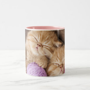 Cute Cat Black 11 oz Two-Tone Mug