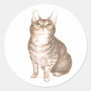 Cute Cat Brown Tabby Kitten Rescue Kitty Lover Mom Classic Round Sticker