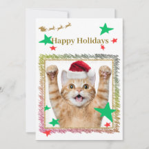 Cute Cat Christmas Card 