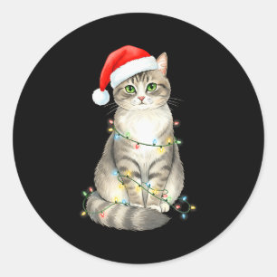 Cute Cat Christmas Lights Santa Hat Snow Holiday A Classic Round Sticker