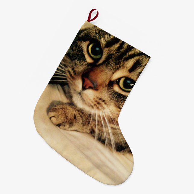 Cute Cat Christmas Stocking (Front (Hanging))