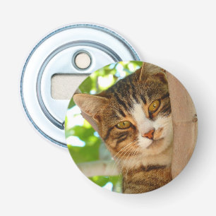 Cute Cat Climbing a Tree Bottle Opener