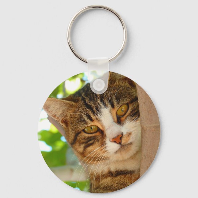 Cute Cat Climbing a Tree Keychain (Front)