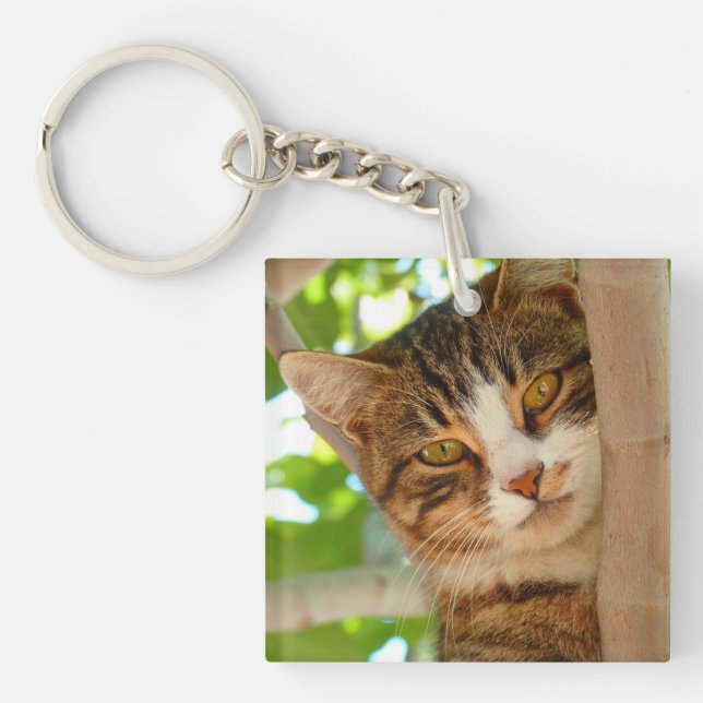Cute Cat Climbing a Tree Keychain (Front)