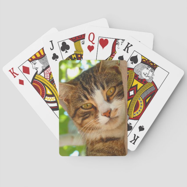 Cute Cat Climbing a Tree Playing Cards (Back)