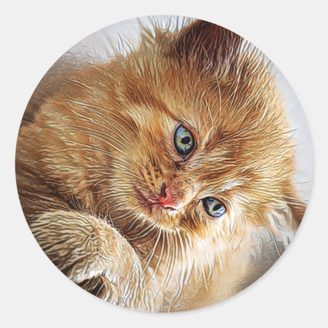 Cute Cat Collection  Classic Round Sticker (Front)