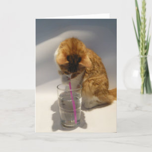 Cute Cat Drinking from Straw Happy Birthday Card