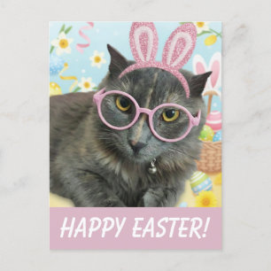 cute cat easter  postcard