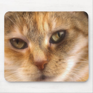 cute cat face 3 mouse pad