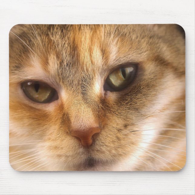 cute cat face 3 mouse pad (Front)