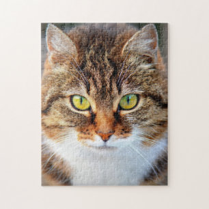 Cute cat face jigsaw puzzle