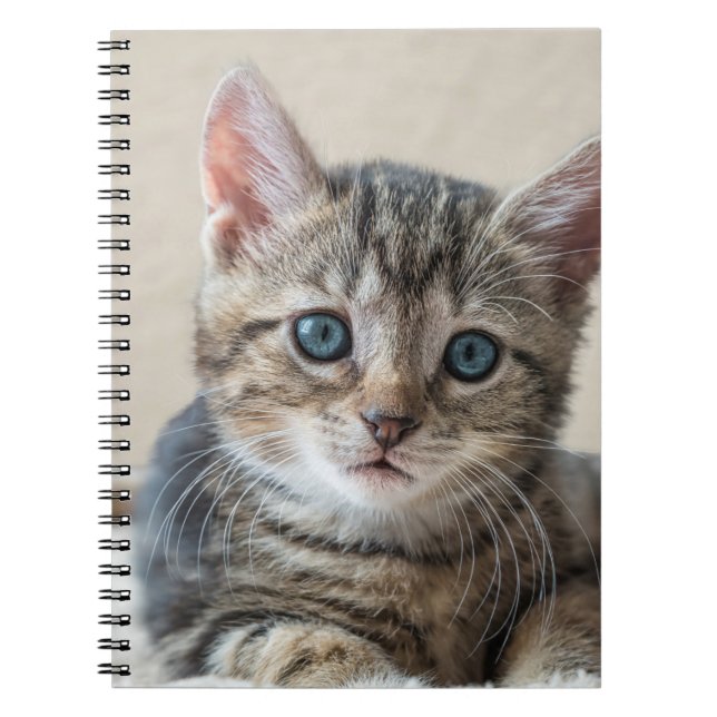 Cute Cat Face Notebook (Front)