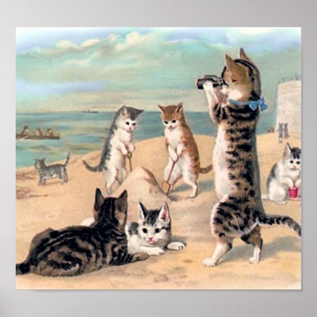 Cute Cat Fun at the Beach Poster (Front)