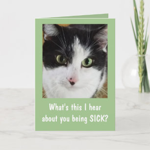 Cute Cat Get Well Card