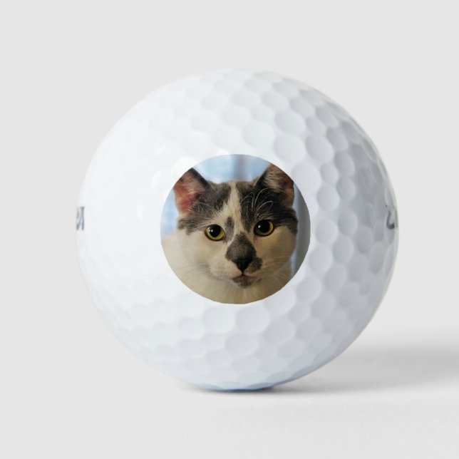 Cute Cat Golf Balls (Front)