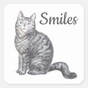 Cute Cat Grey Silver Tabby Kitten Kitty Hello Love Square Sticker