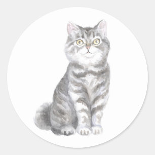 Cute Cat Grey Silver Tabby Kitten Kitty Lover Mom Classic Round Sticker