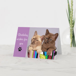 Cute Cat Happy Birthday Greeting Card