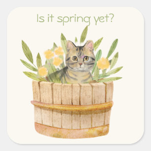 Cute Cat in a Barrel of Flowers Square Sticker