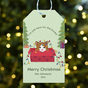Cute Cat in a Box Here for the Boxes Christmas Gift Tags