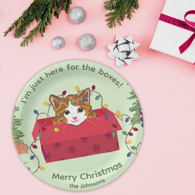 Cute Cat in a Box Here for the Boxes Christmas Paper Plate (Creator Uploaded)