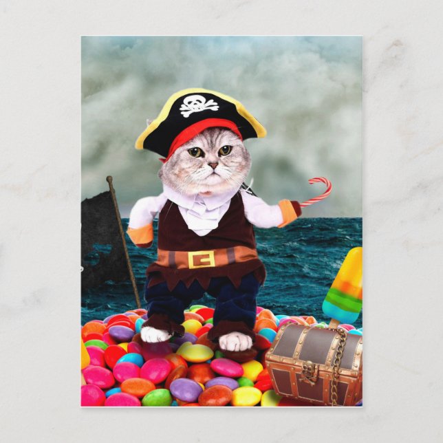 Cute cat in a pirate costume postcard (Front)