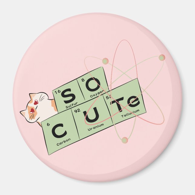 Cute Cat In Love Magnet (Front)