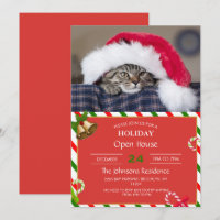 Cute cat in santa hat         