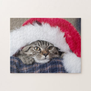 Cute cat in santa hat jigsaw puzzle