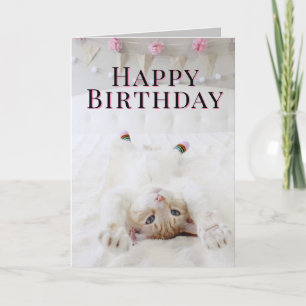 Cute Cat In Socks Birthday Greeting Card