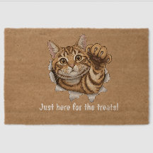 Cute Cat - Just here for the treats!