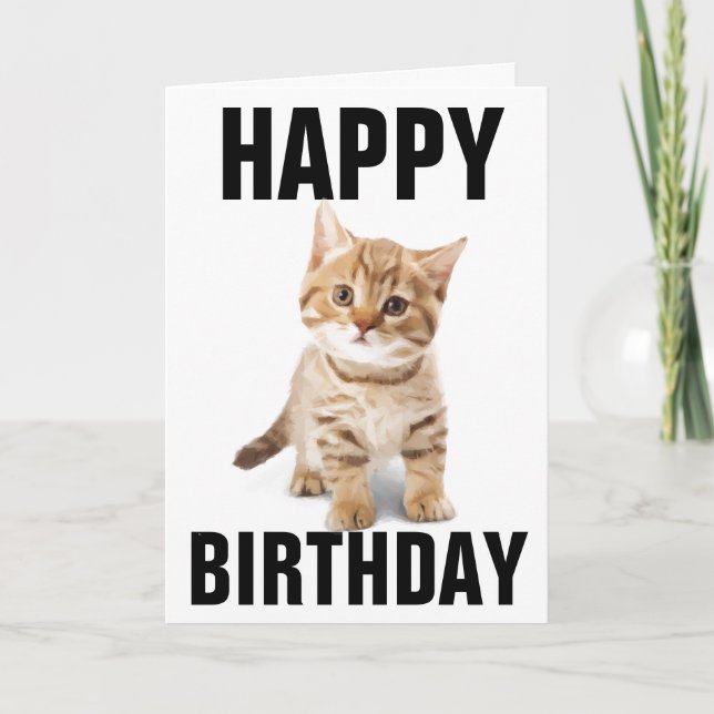 CUTE CAT kitten BIRTHDAY CARD (Front)