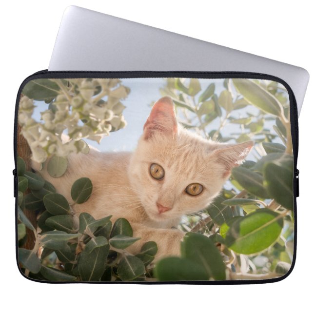 Cute Cat Kitten climbing in an Eucalyptus Tree -- Laptop Sleeve (Front)